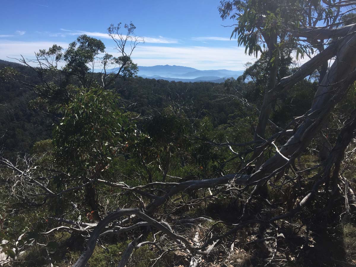 Mount cobbler plateau circuit hike 18