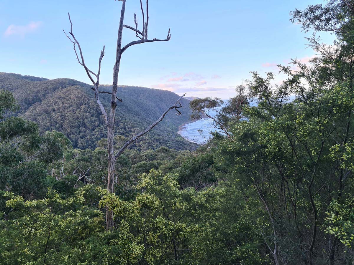 Coast view