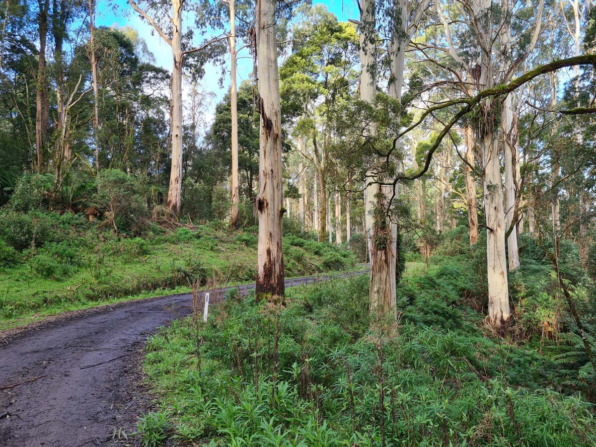 Wye road
