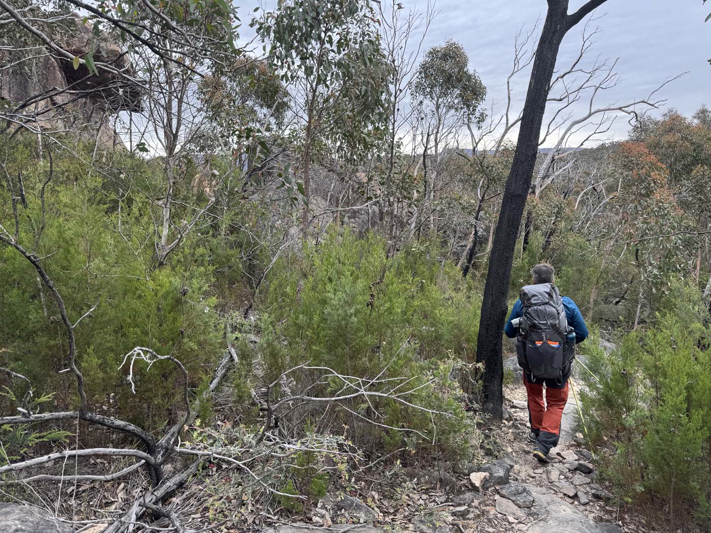 Mount difficult range briggs bluff (11)