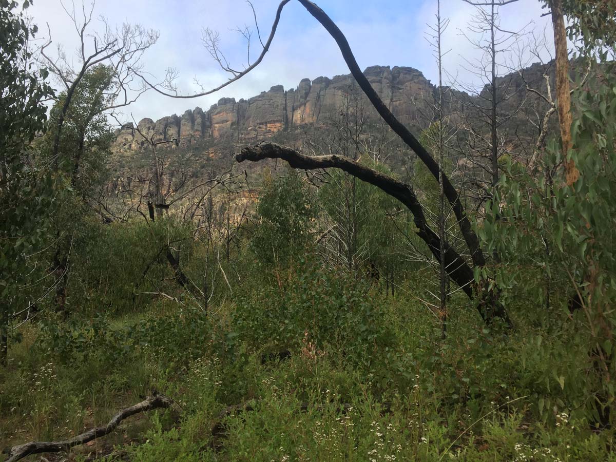Mount difficult range briggs bluff hike 4