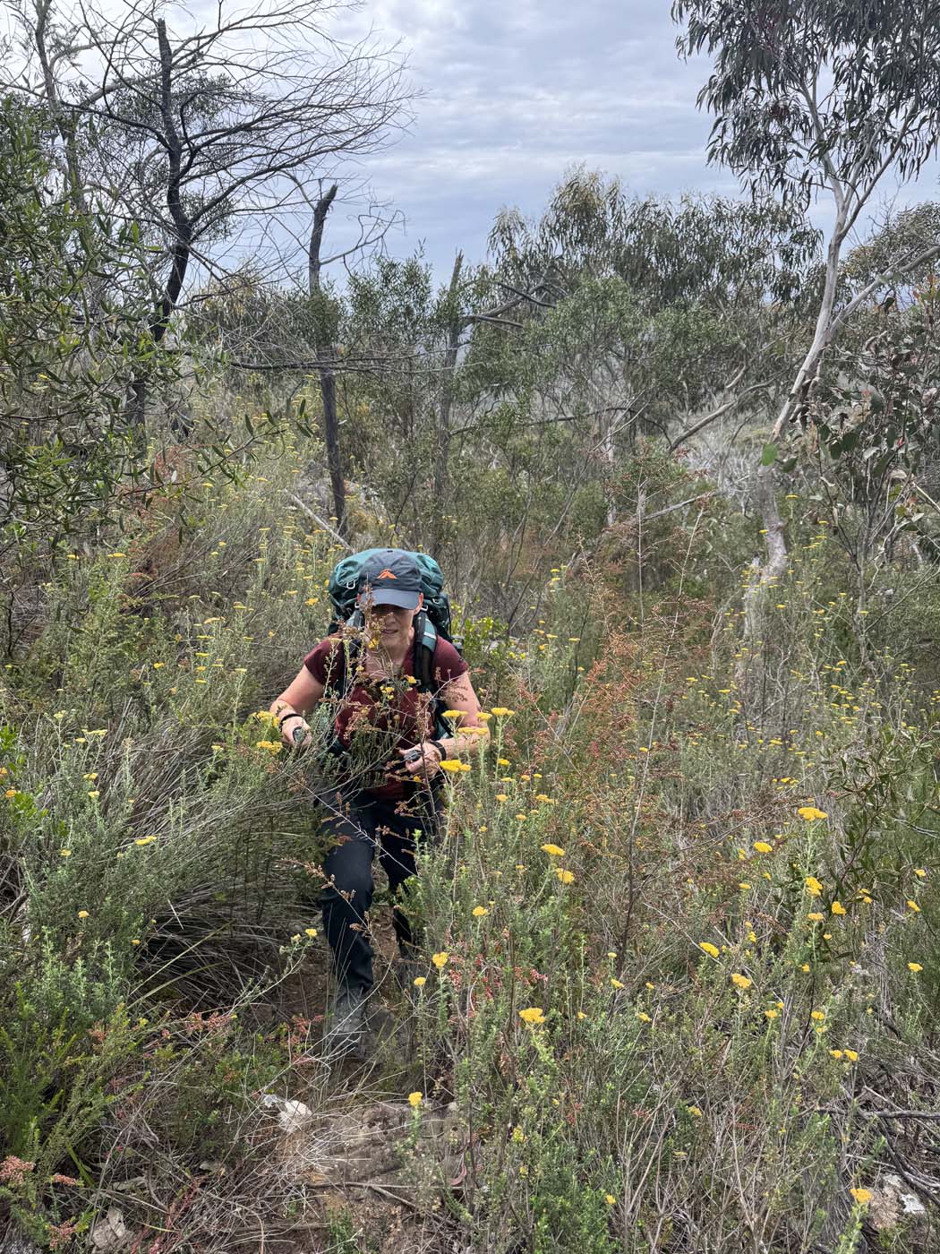 Mount difficult range traverse (5)