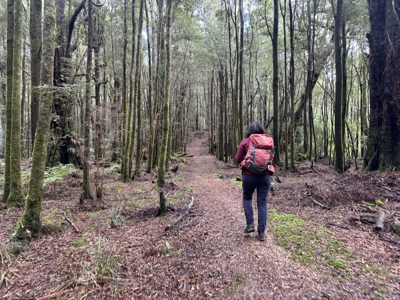Mount donaldson summit walk (1)