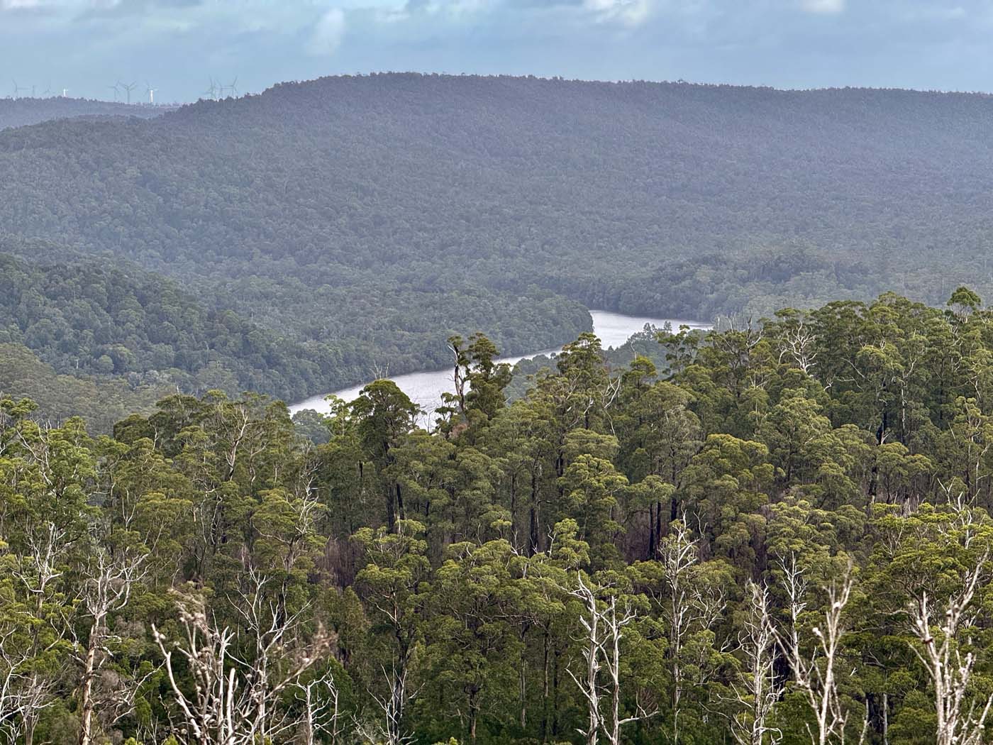 Mount donaldson summit walk (6)