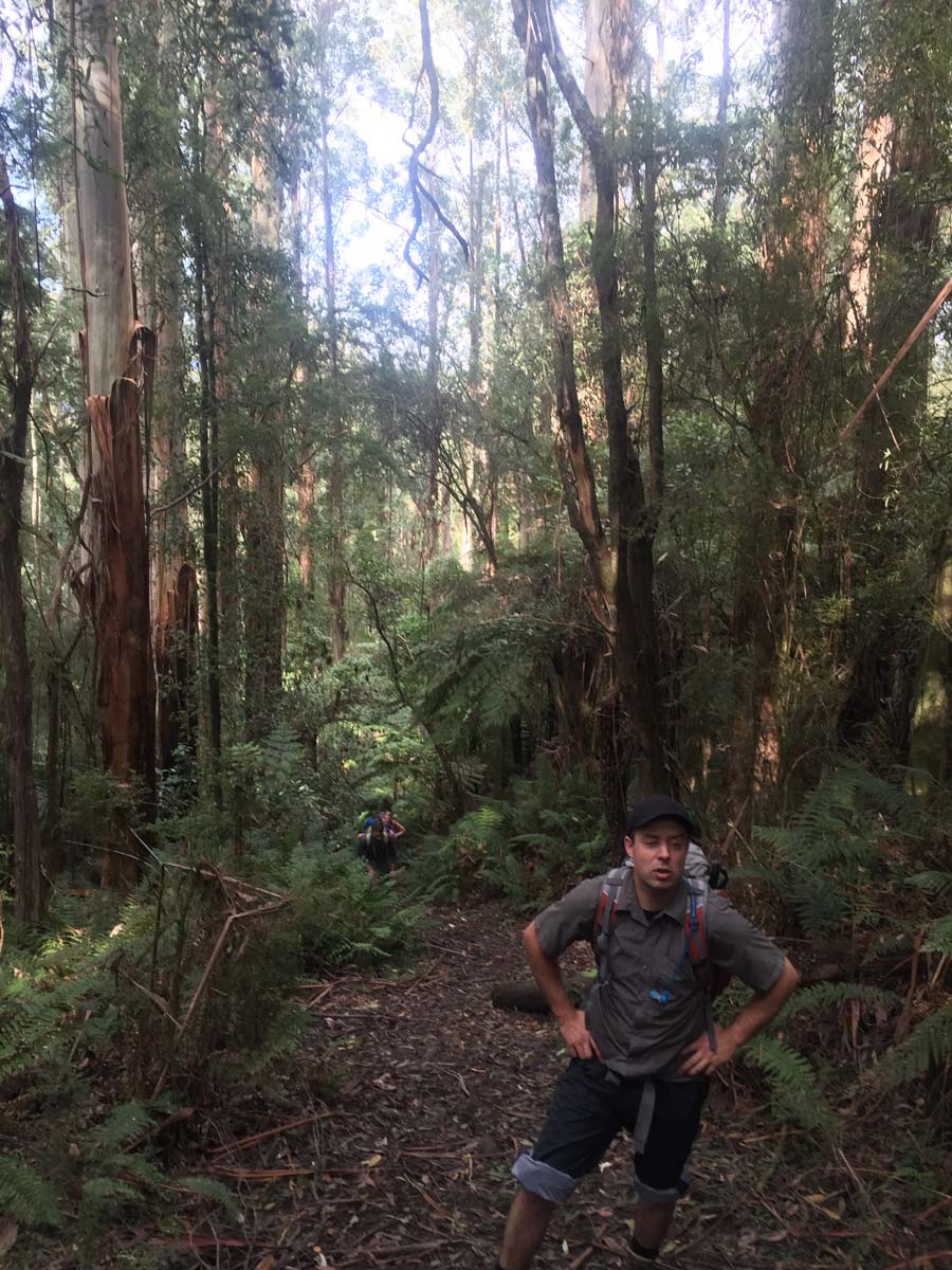 Mount donna buang hike 1