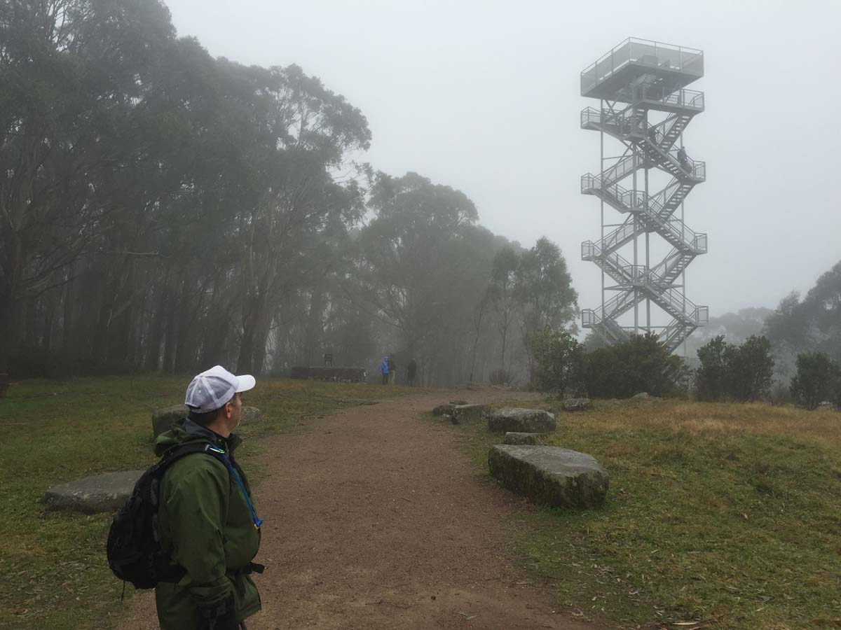 Mount donna buang hike 8
