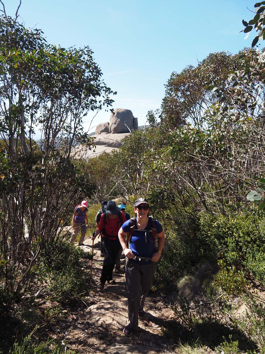 Mount dunn & drillhole rocks hike 11