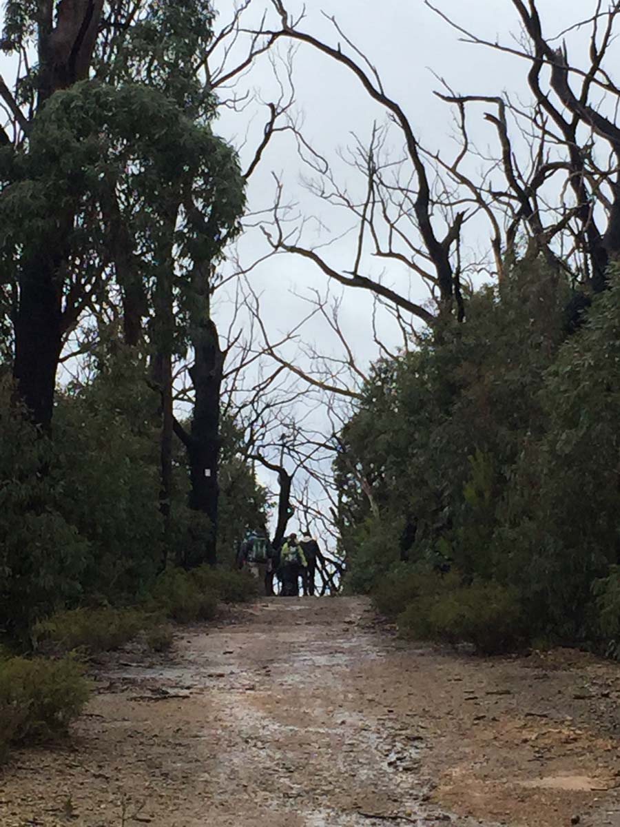 Mount everard hike 1