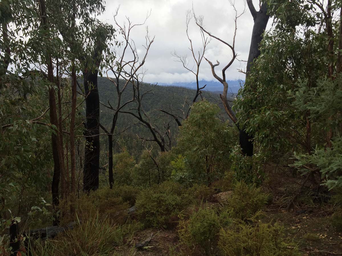 Mount everard hike 2