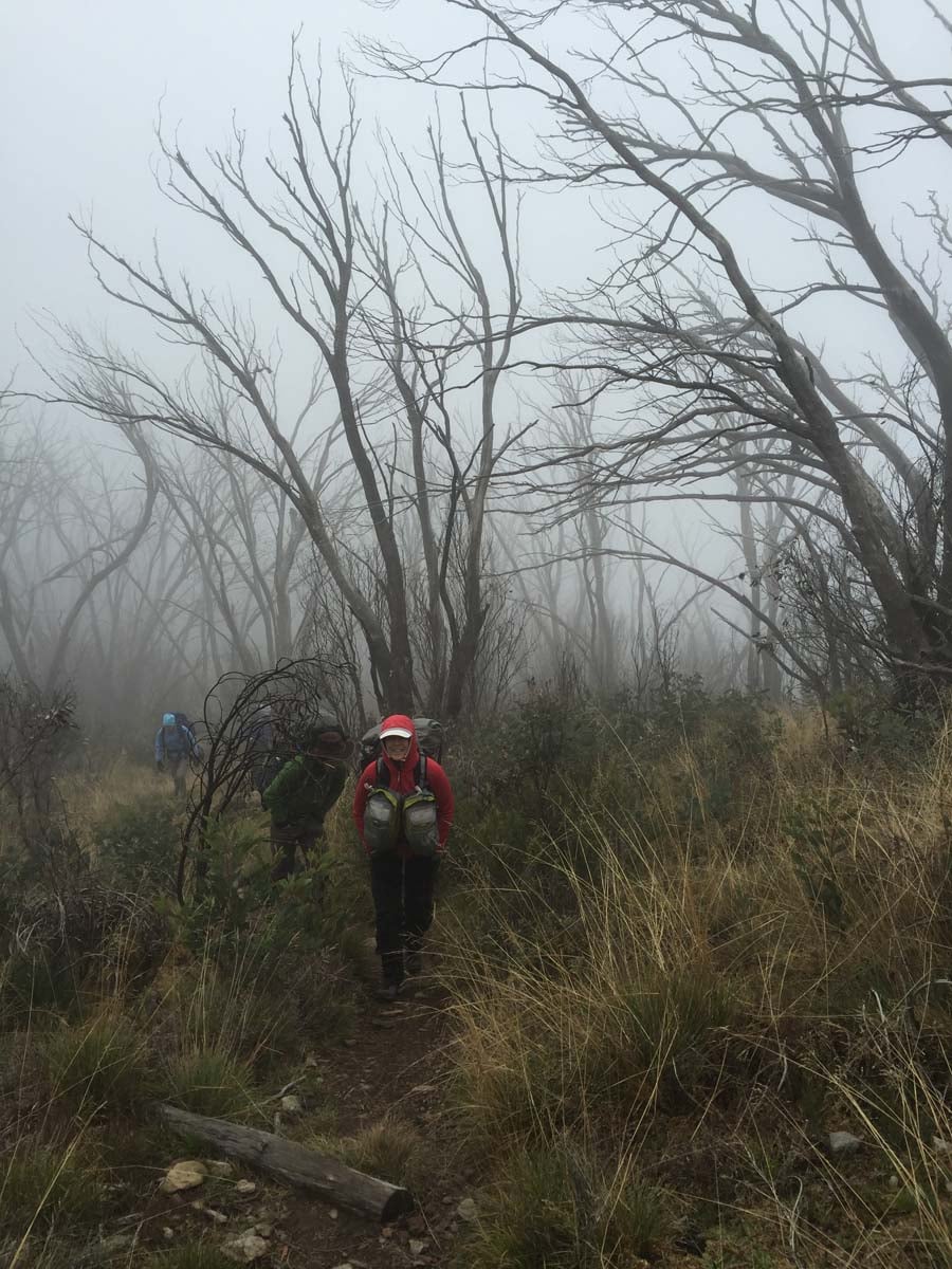 Mount feathertop bungalow spur hike 14