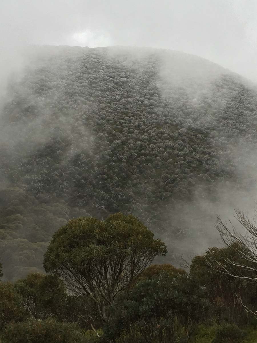 Mount feathertop bungalow spur hike 20