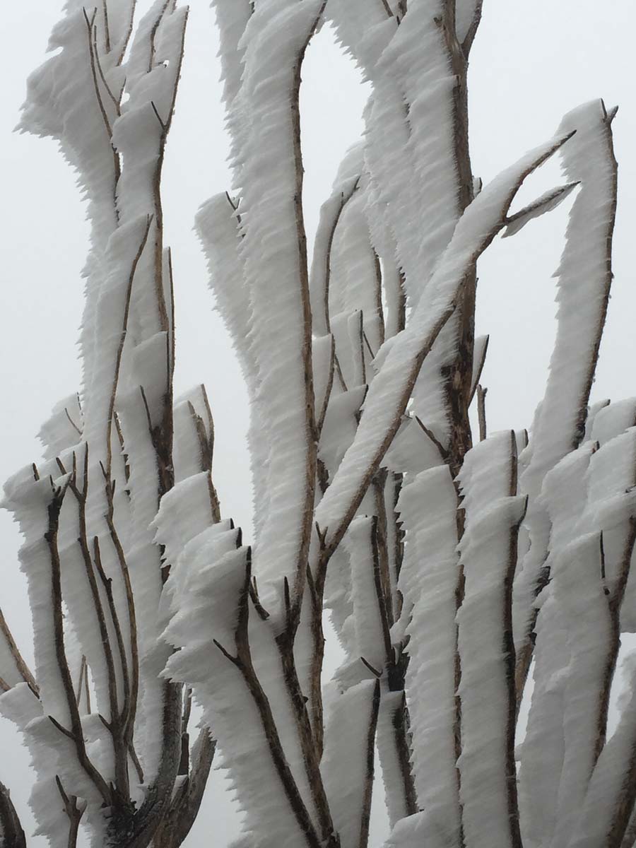 Mount feathertop bungalow spur hike 24