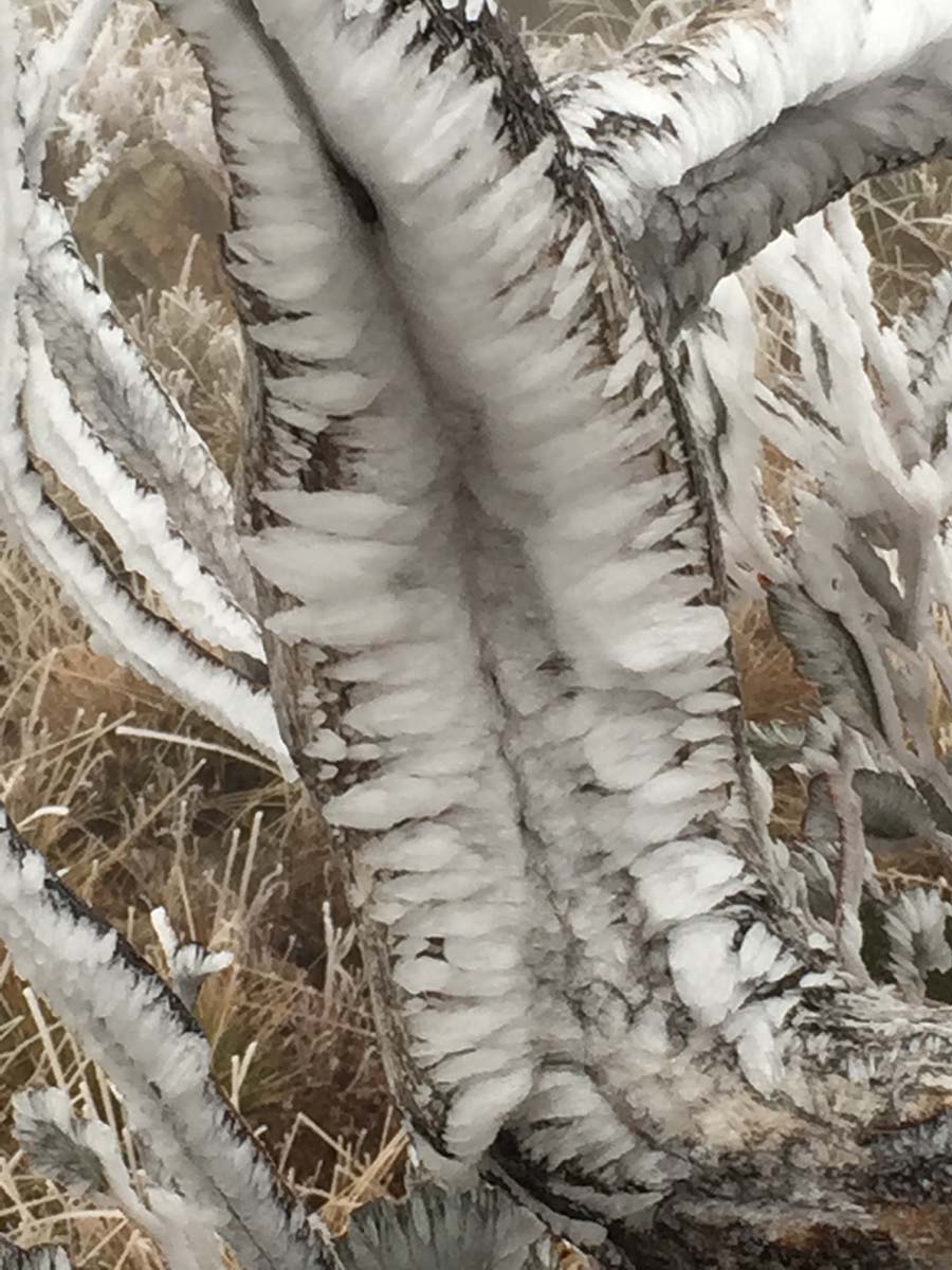 Mount feathertop bungalow spur hike 26