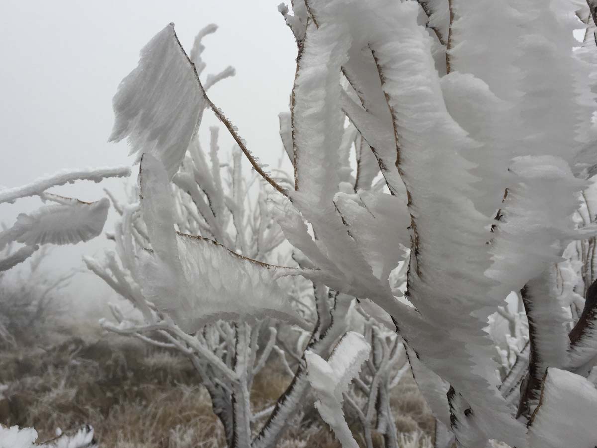 Mount feathertop bungalow spur hike 27