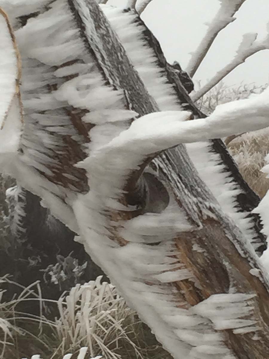 Mount feathertop bungalow spur hike 29