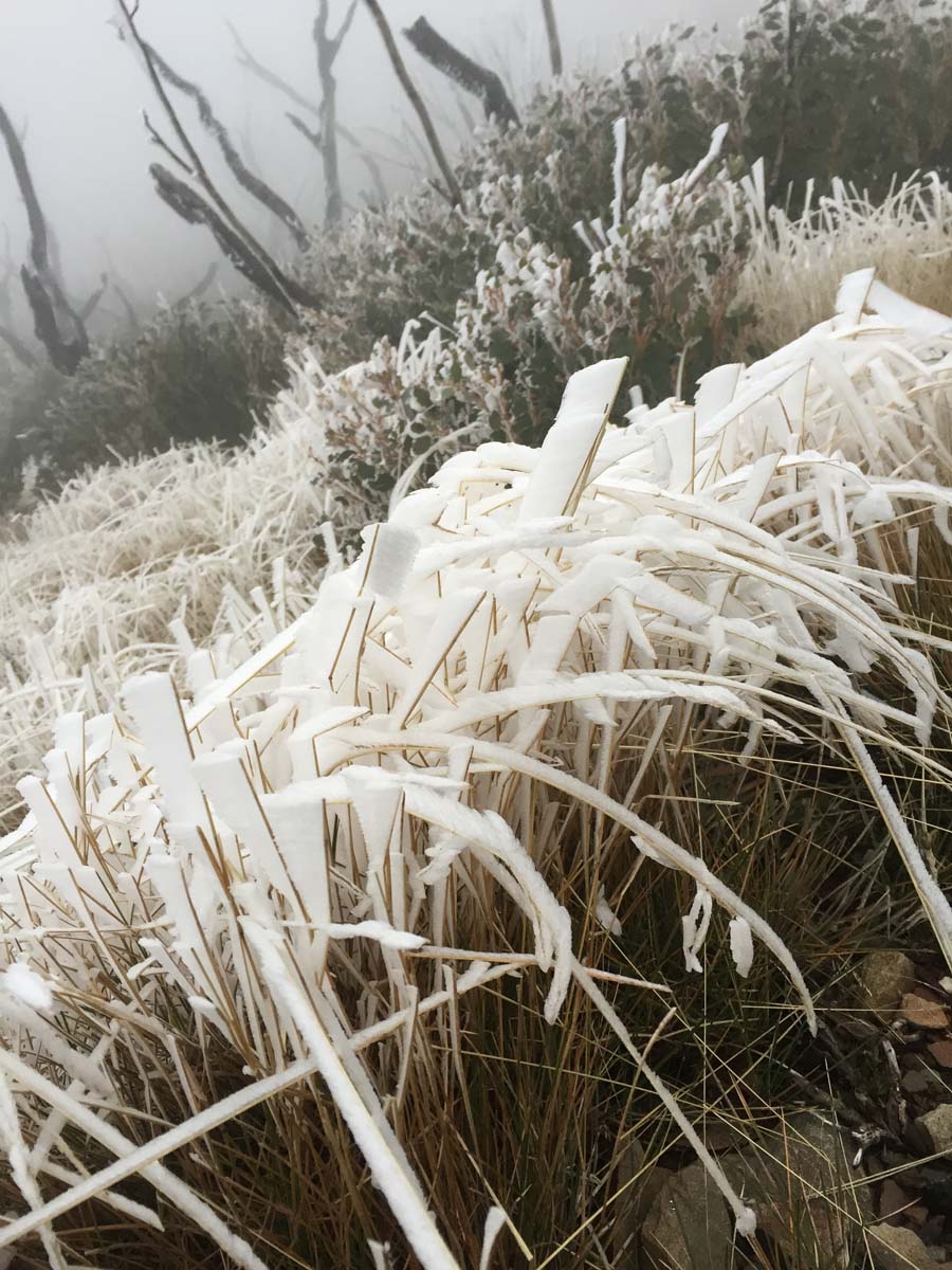 Mount feathertop bungalow spur hike 41