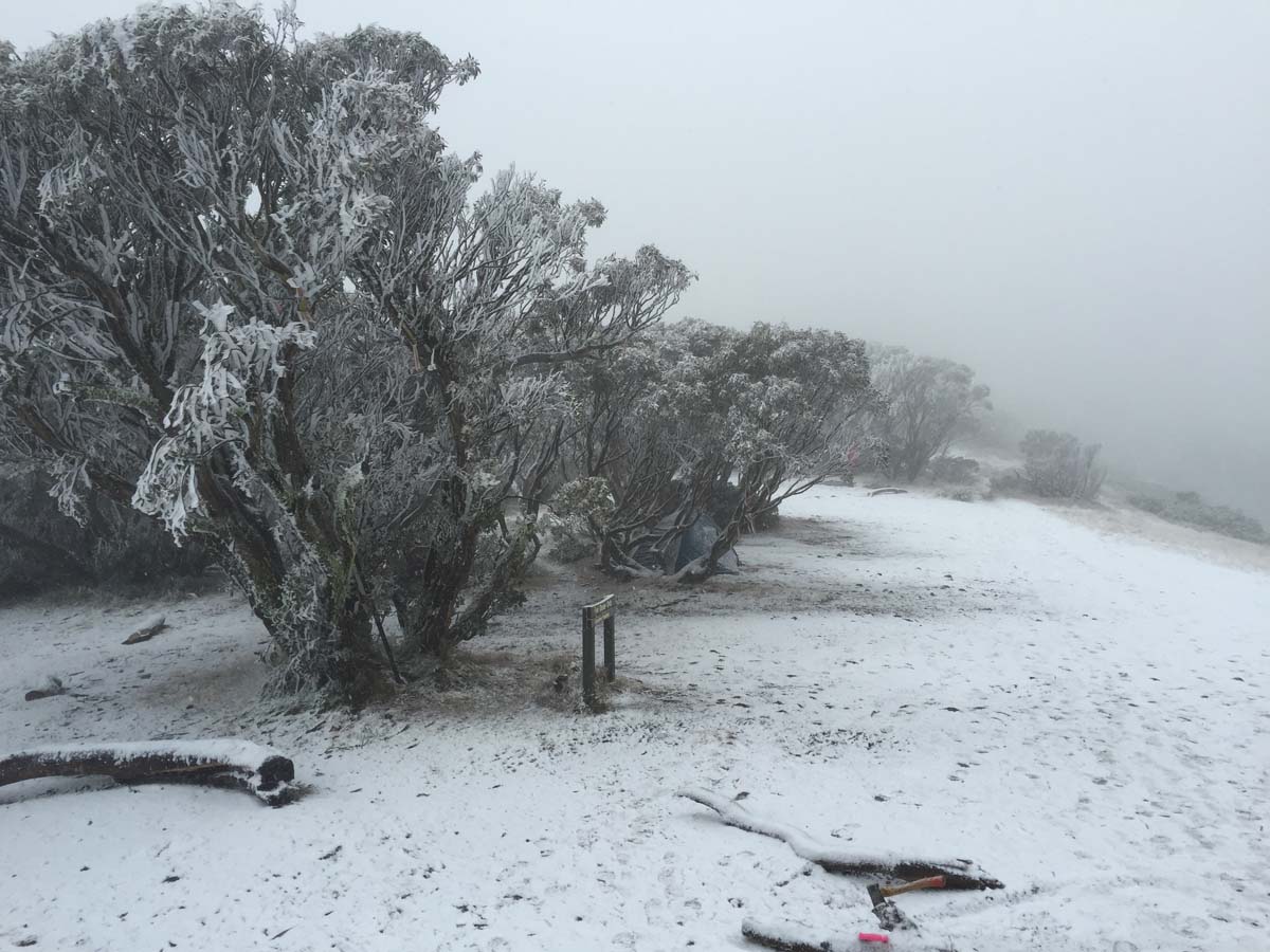 Mount feathertop bungalow spur hike 42