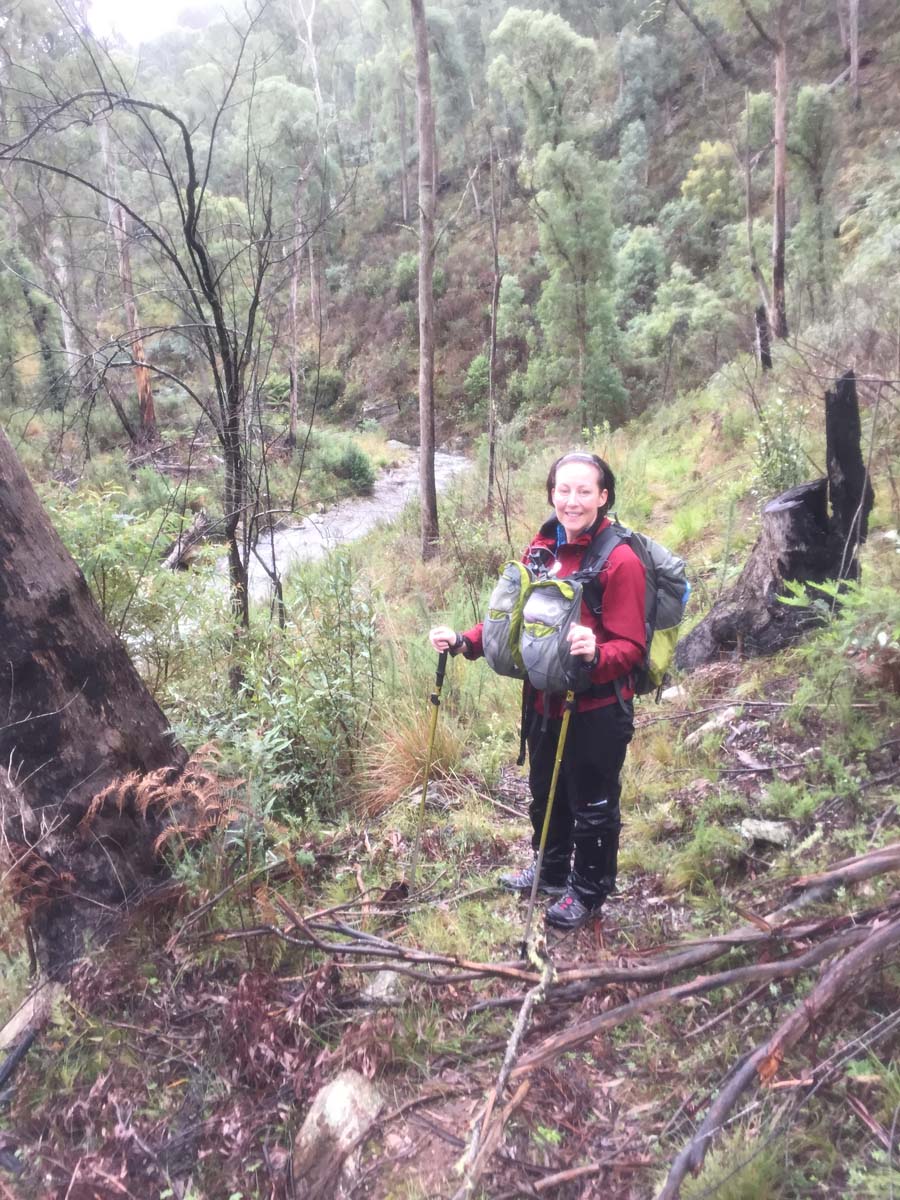 Mount feathertop bungalow spur hike 48
