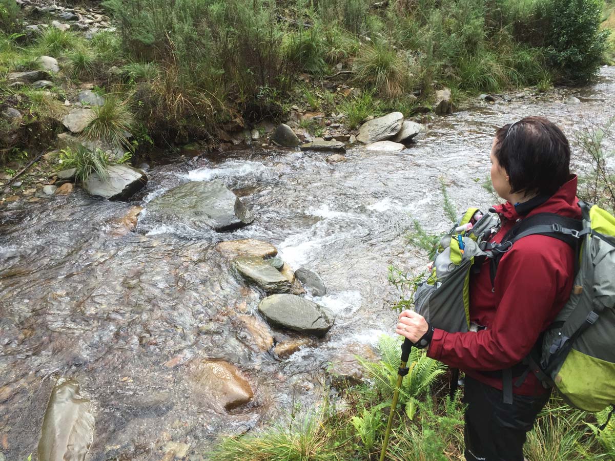 Mount feathertop bungalow spur hike 49