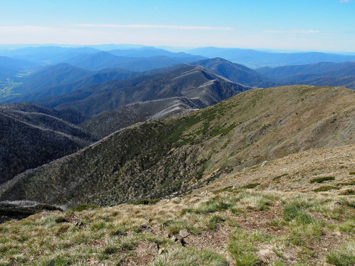 Mount feathertop the razorback hike 121