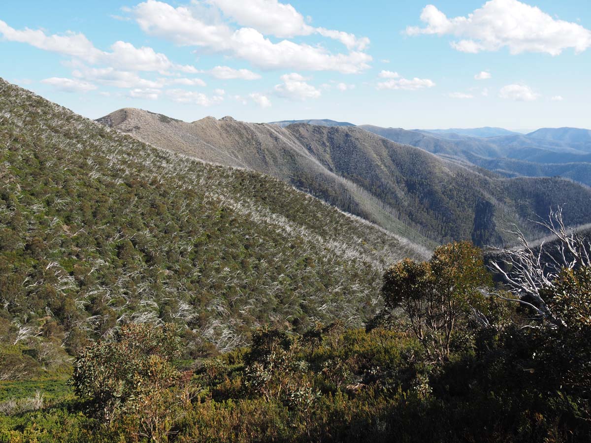 Mount feathertop the razorback hike 144