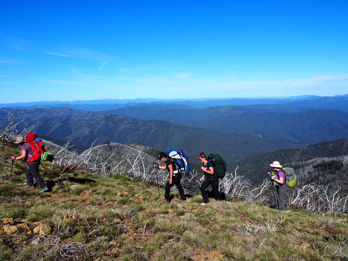 Mount feathertop the razorback hike 155