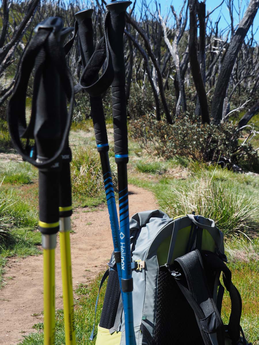 Mount feathertop the razorback hike 167