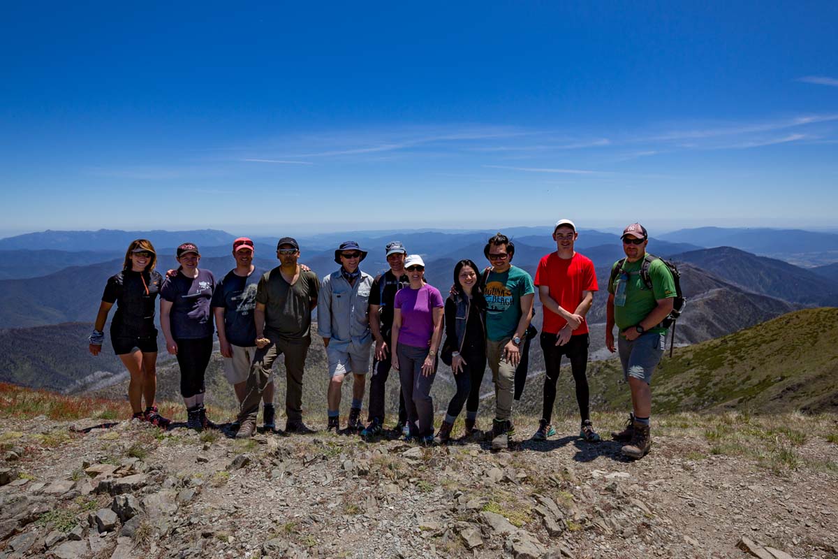 Mount feathertop the razorback hike 17