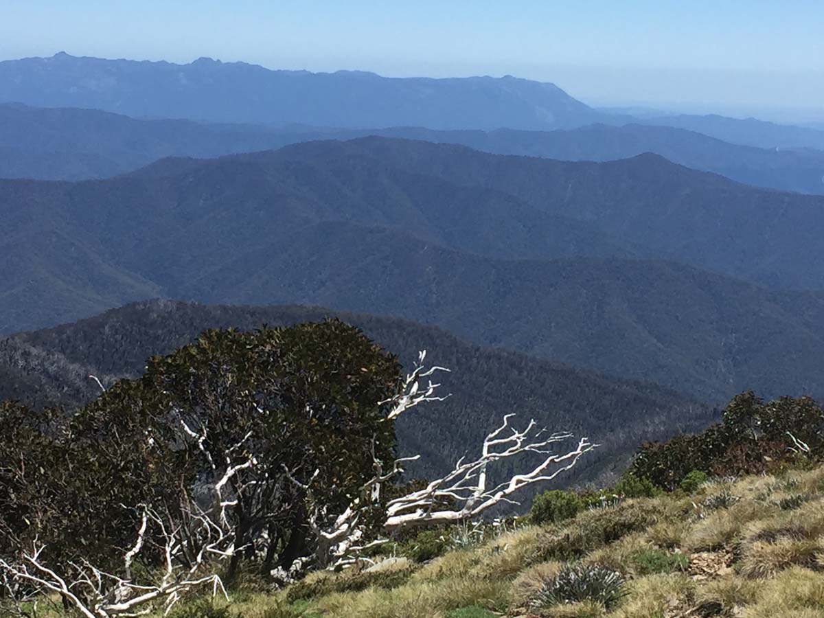 Mount feathertop the razorback hike 24