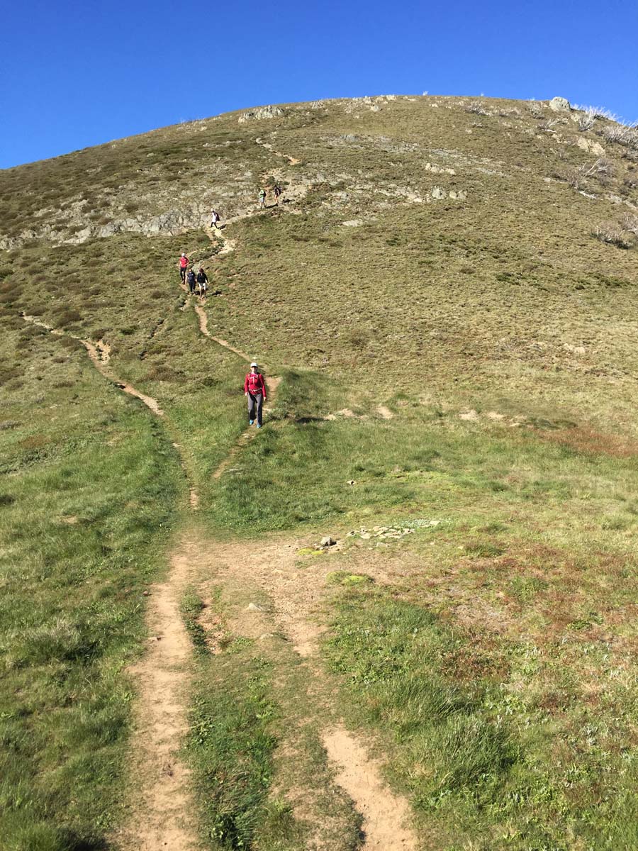 Mount feathertop the razorback hike 4