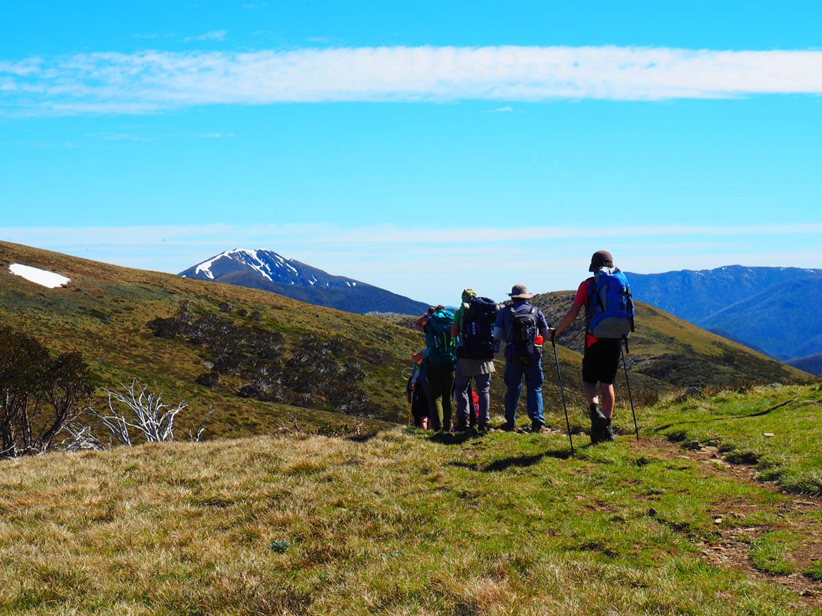 Mount feathertop the razorback hike 88