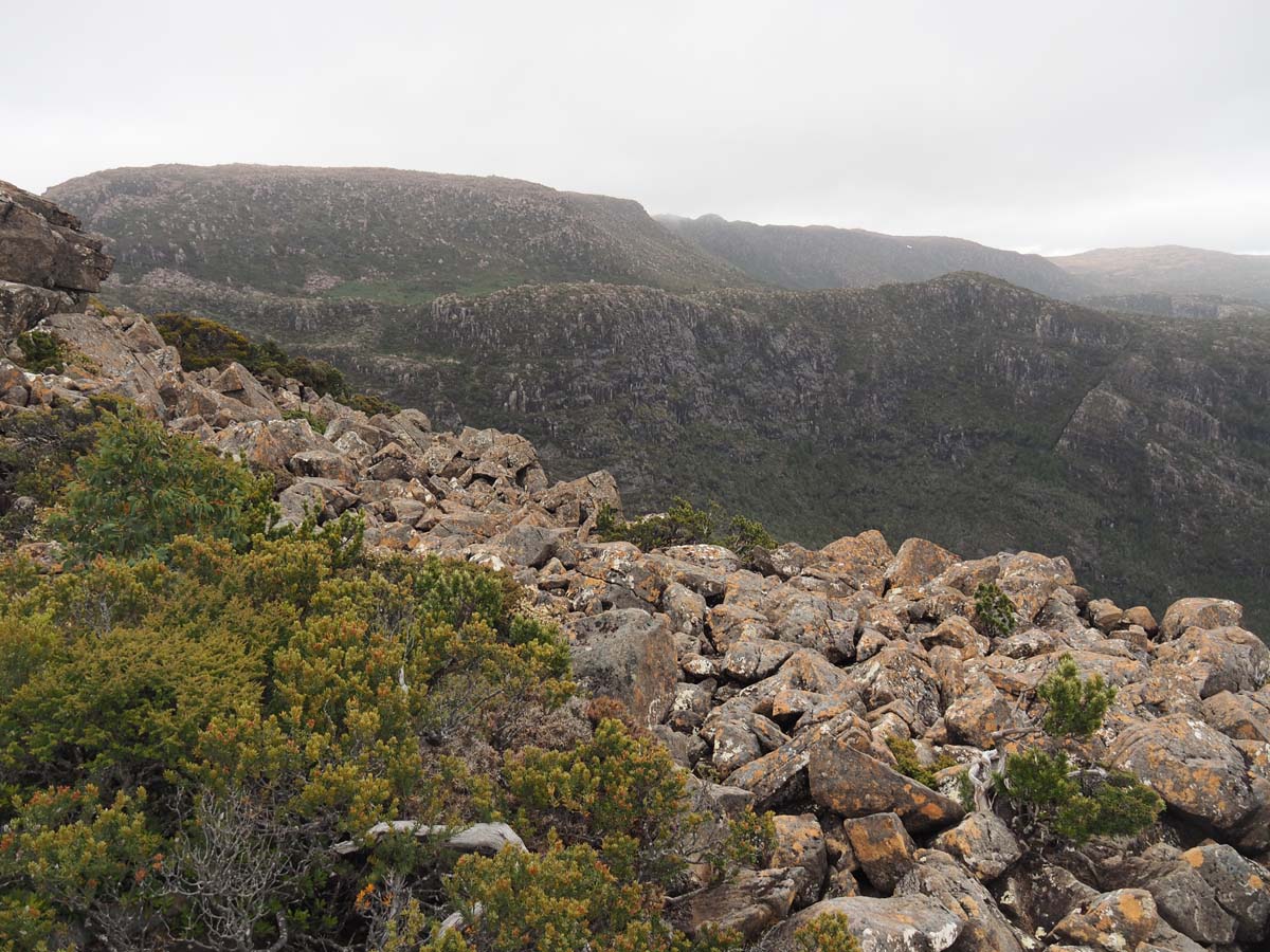 Mount field west hike 12
