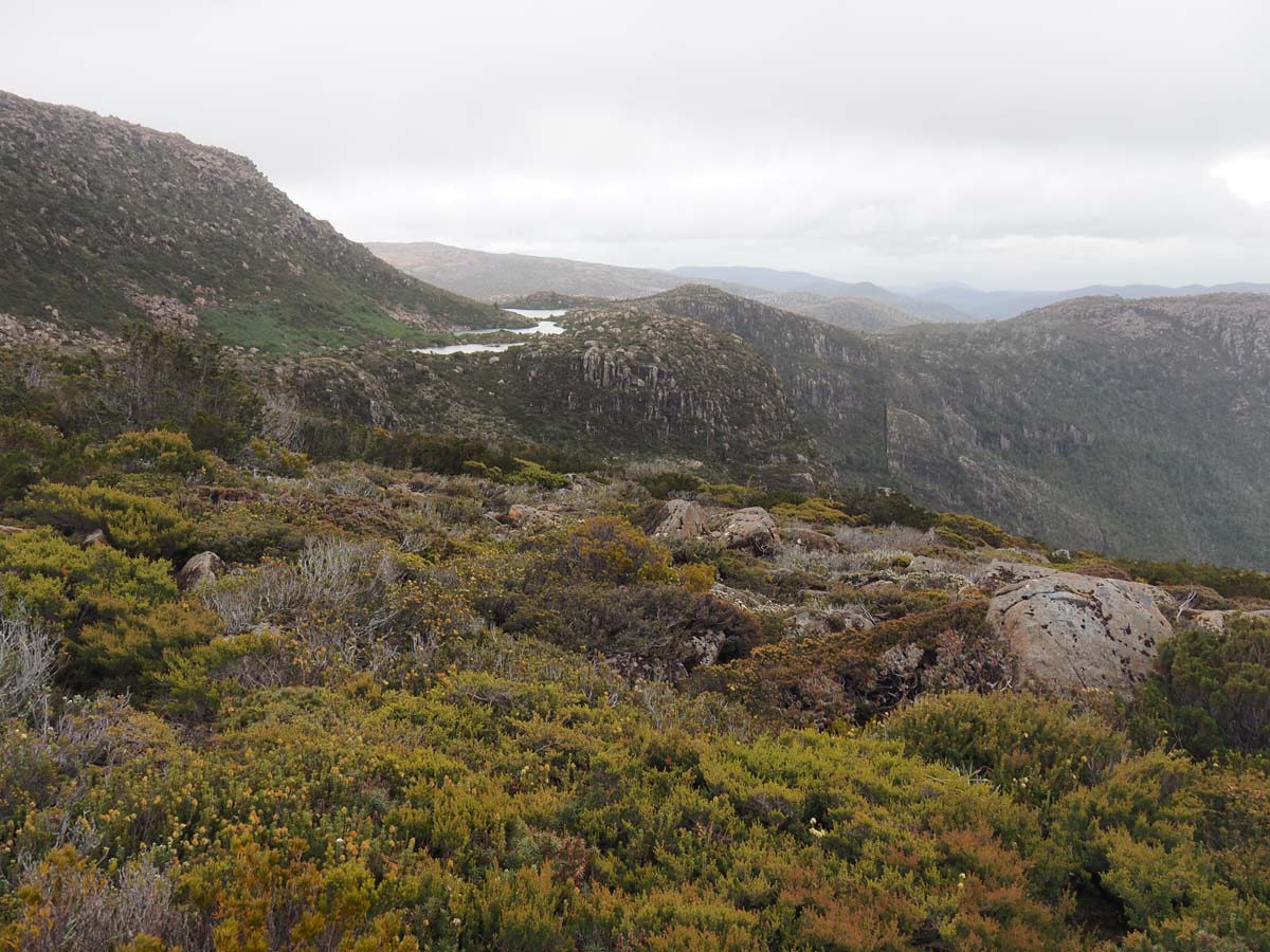 Mount field west hike 16