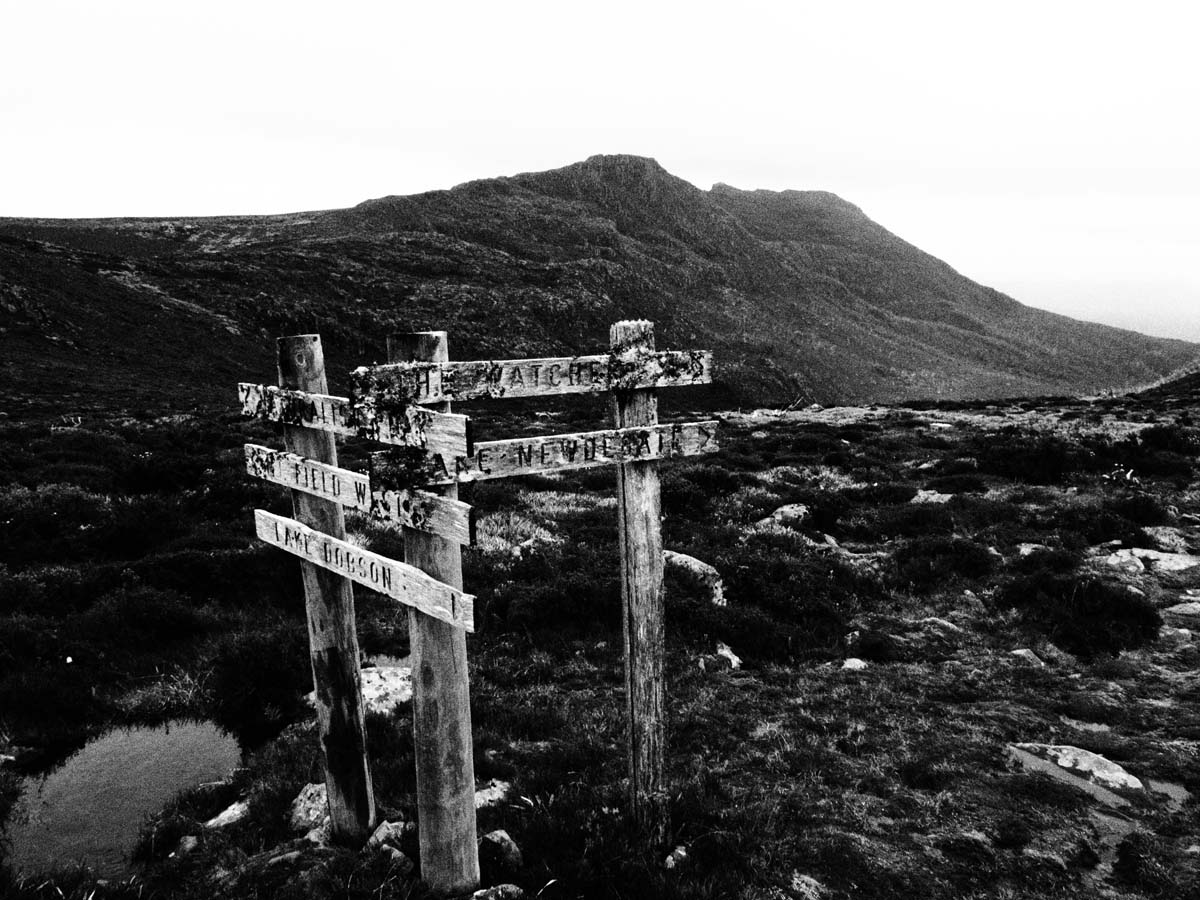Mount field west hike 42