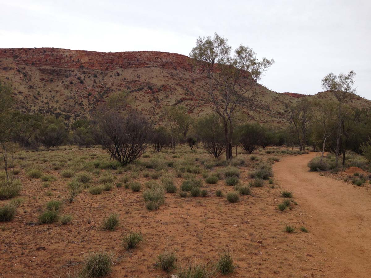 Mount gillen & the heavitree range hike 1