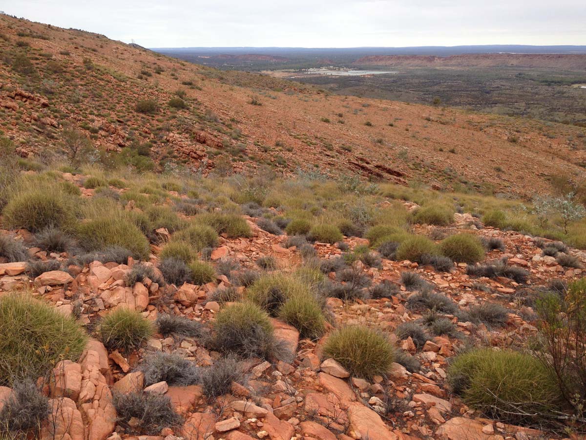 Mount gillen & the heavitree range hike 16