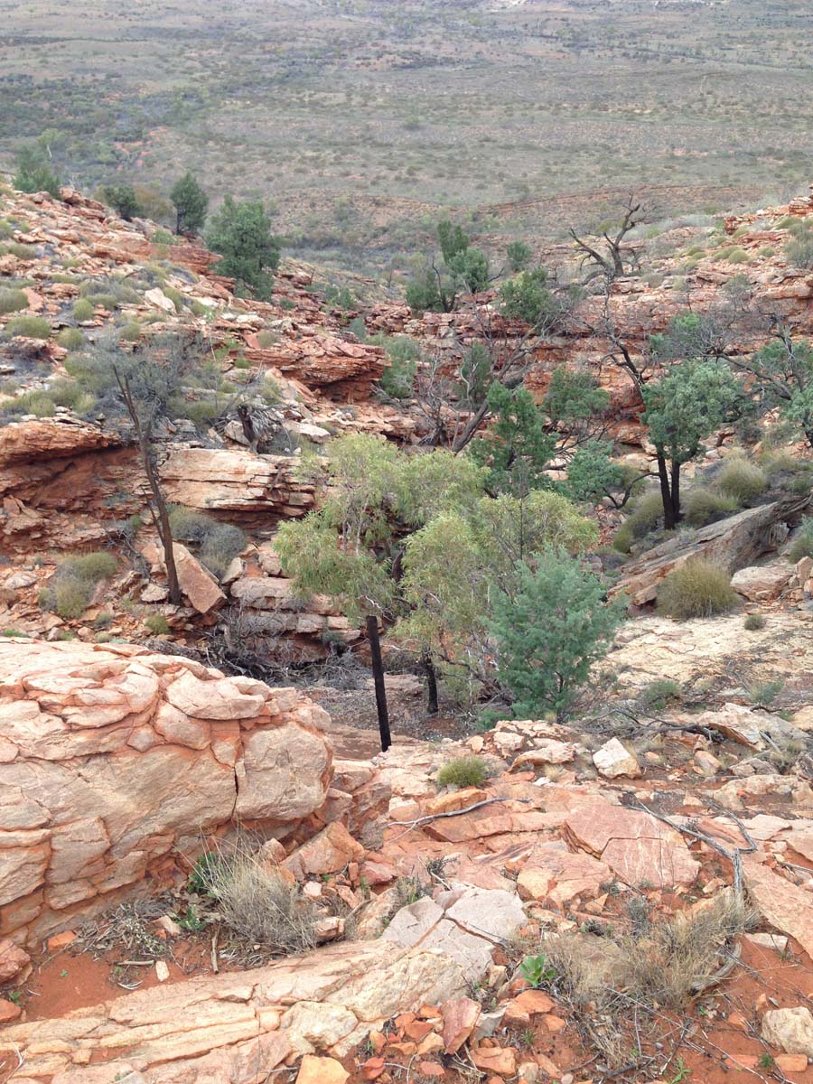 Mount gillen & the heavitree range hike 17