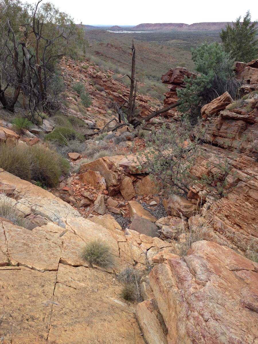 Mount gillen & the heavitree range hike 19
