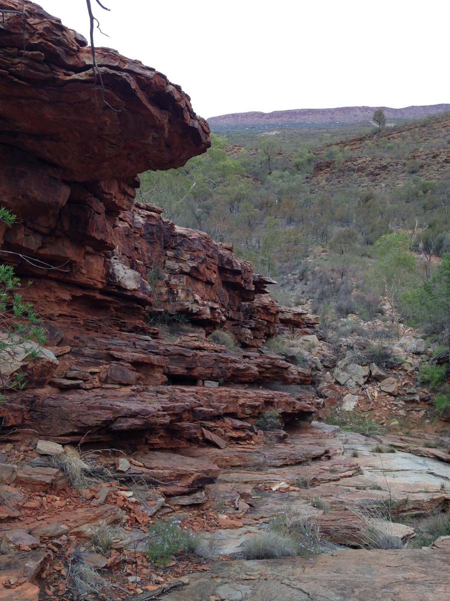 Mount gillen & the heavitree range hike 20