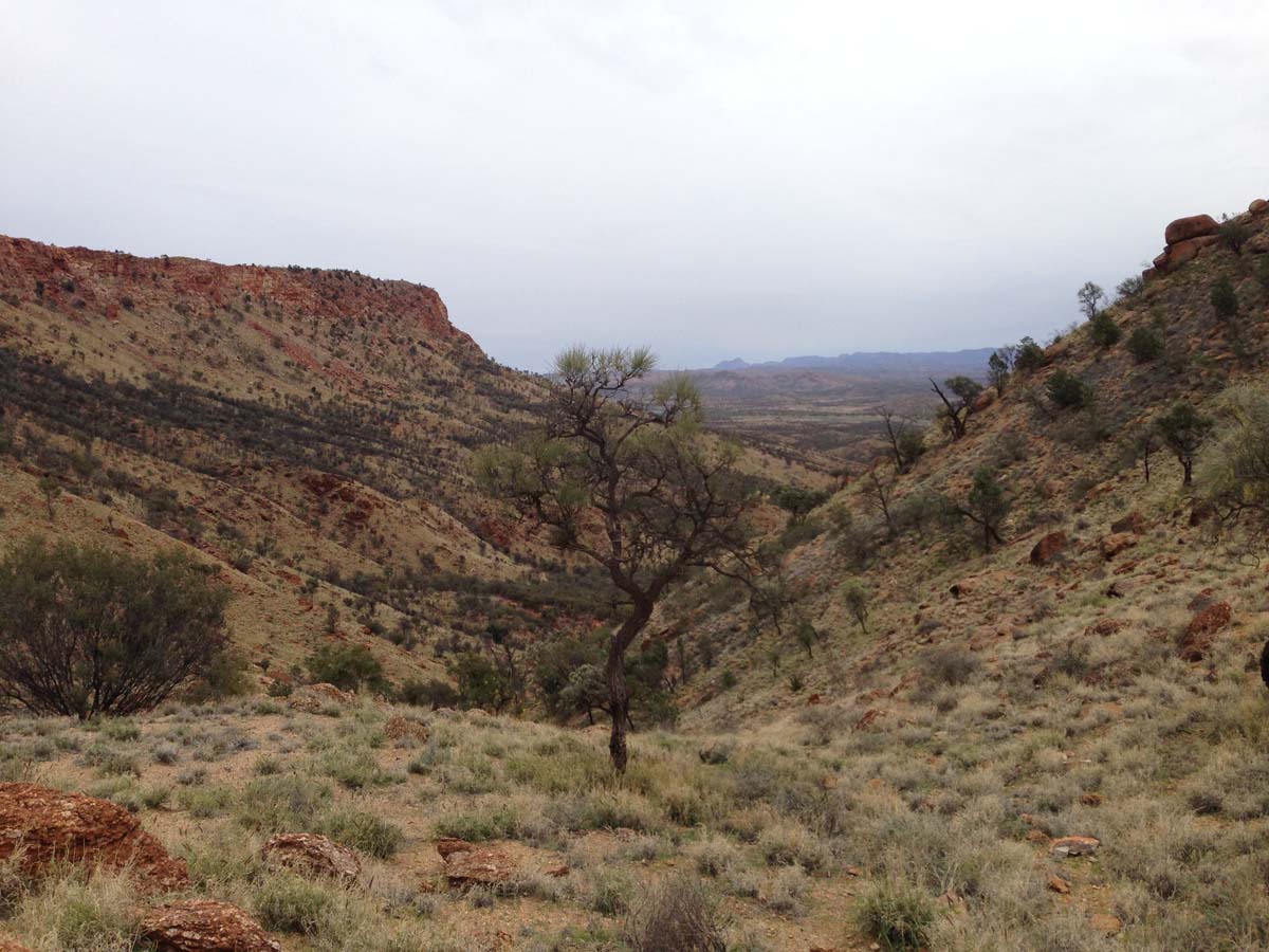 Mount gillen & the heavitree range hike 4