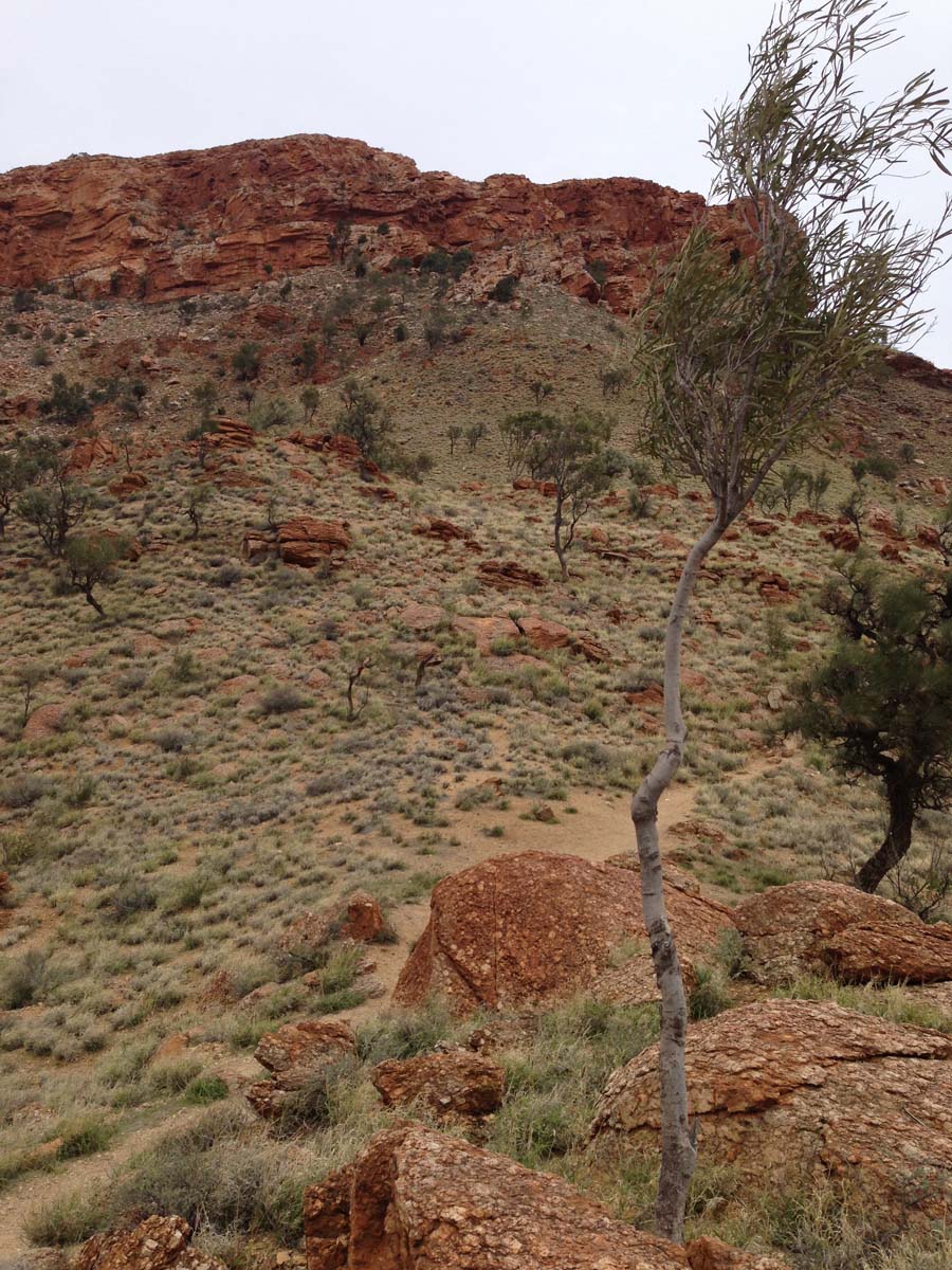 Mount gillen & the heavitree range hike 5