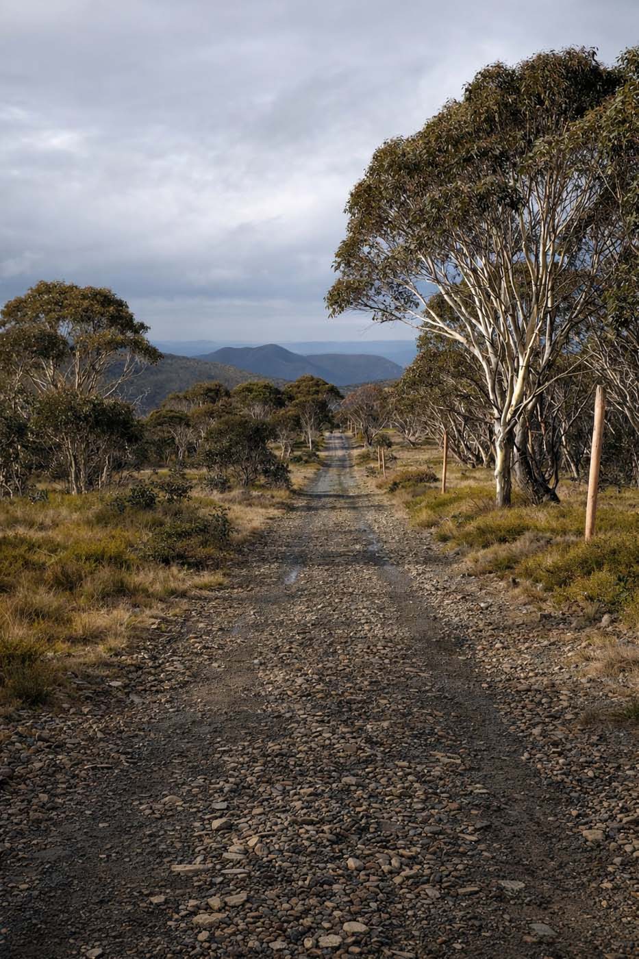 Access road to mount ginini 2