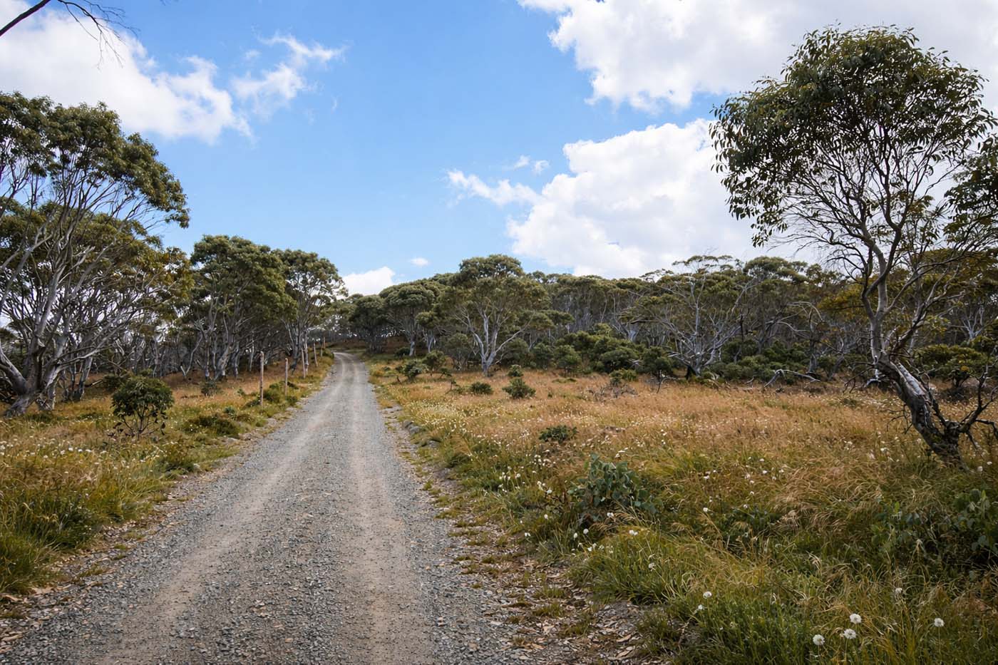Access road to mount ginini