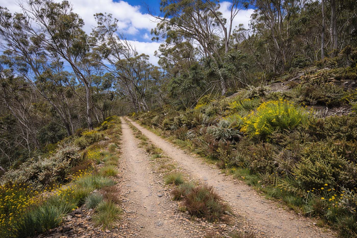 Mount ginini summit hike 2