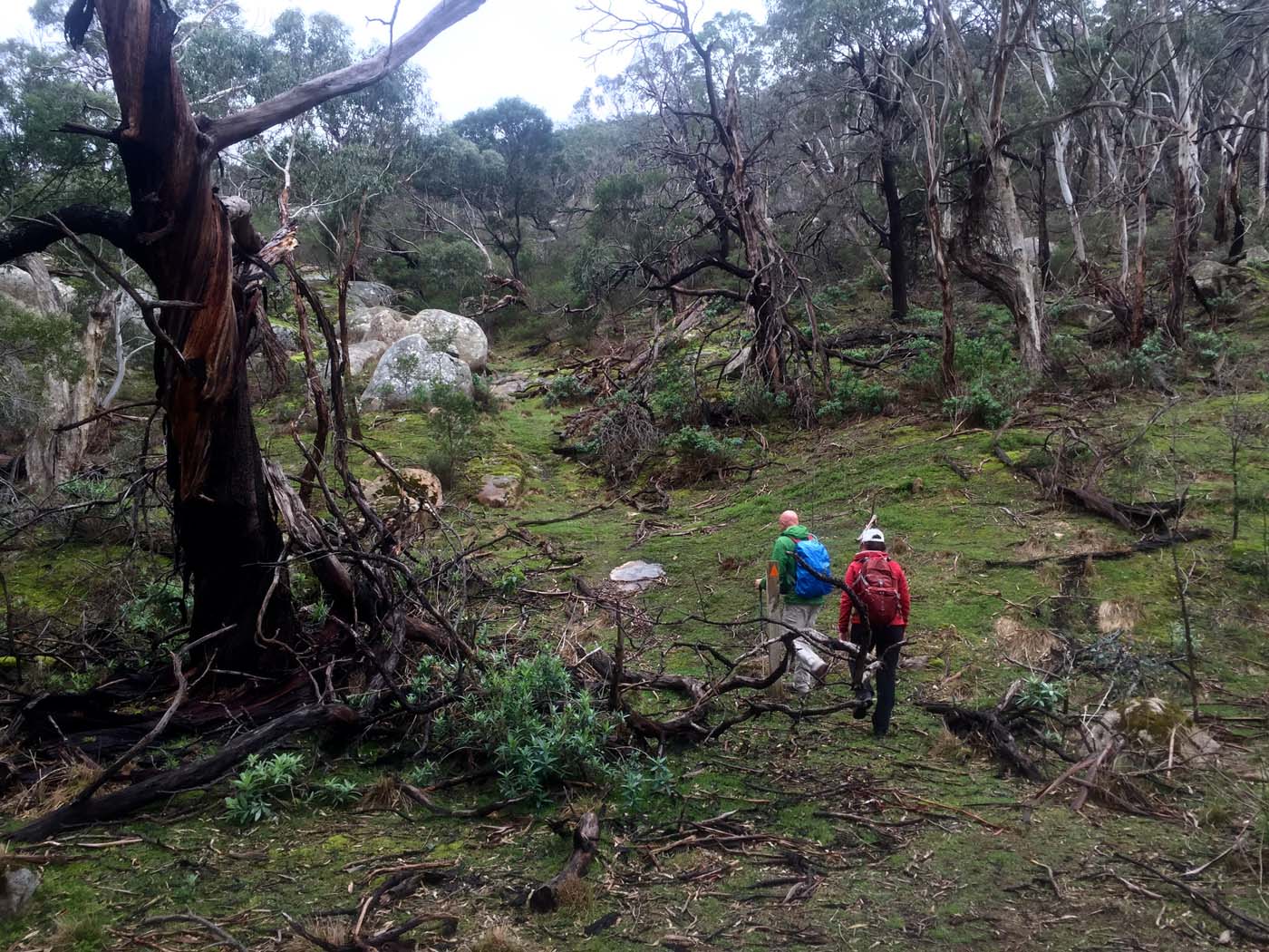 Mount gorrin hike (1)