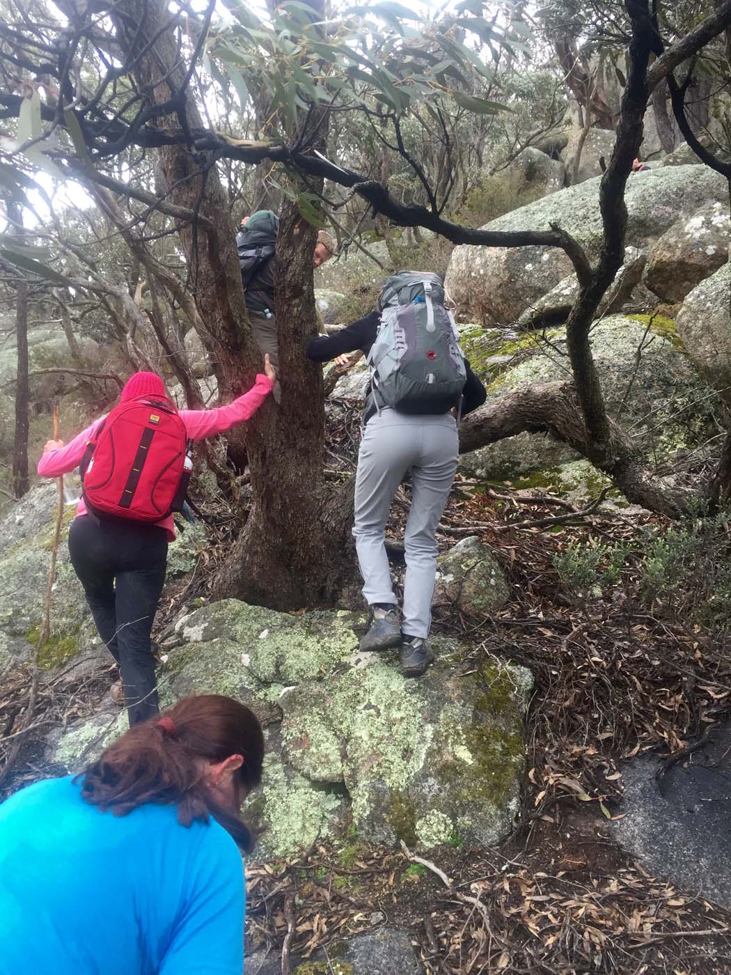 Mount gorrin hike (10)