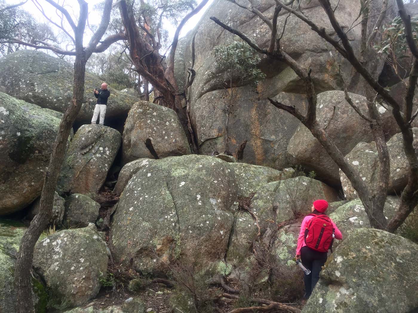 Mount gorrin hike (11)