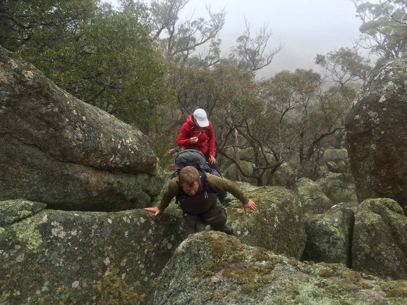 Mount gorrin hike (12)