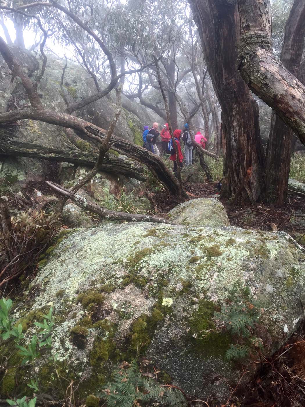 Mount gorrin hike (15)