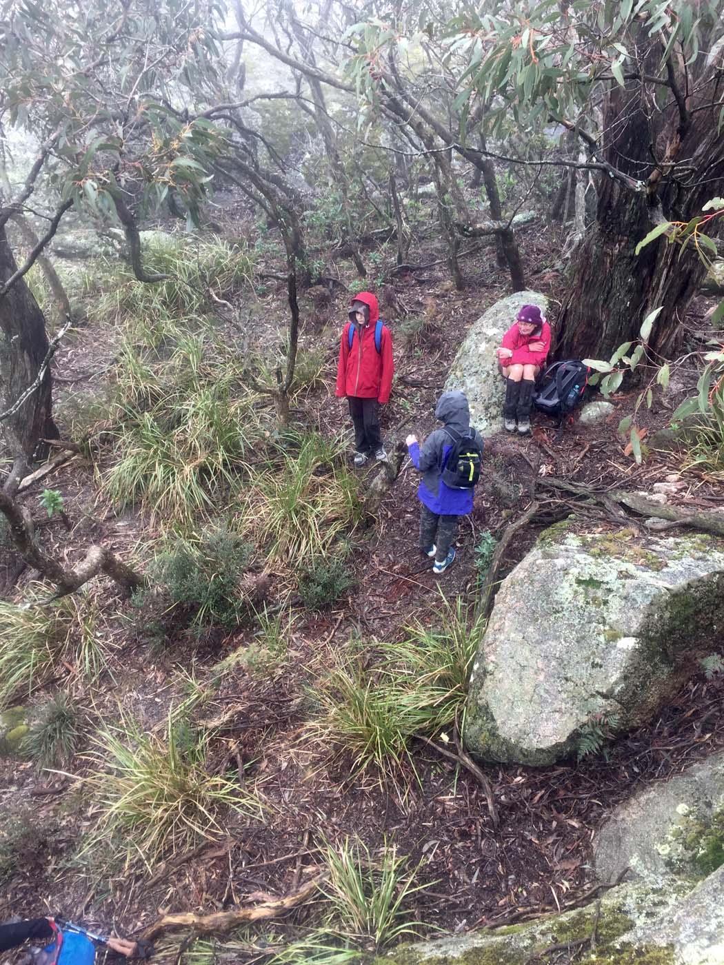 Mount gorrin hike (17)